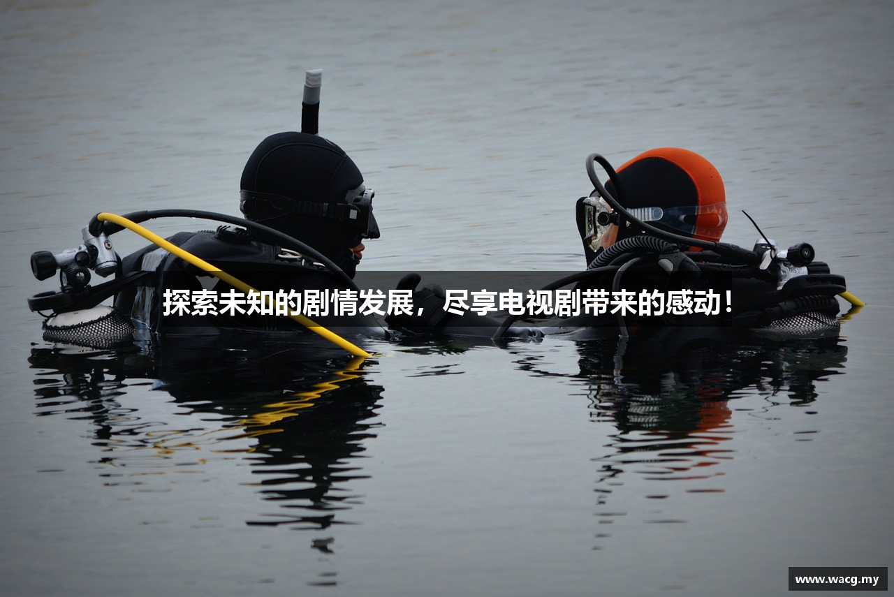 吾爱吃瓜不打烊